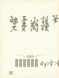 触手小说笔趣阁免费阅读封面