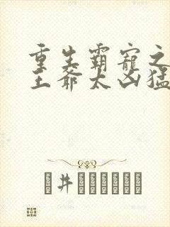 重生霸宠之摄政王爷太凶猛