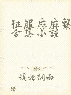 征服麻麻系列大合集小说