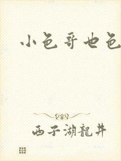 小色哥也色封面