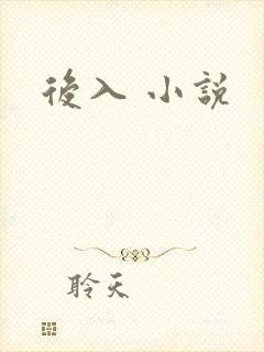 后入 小说