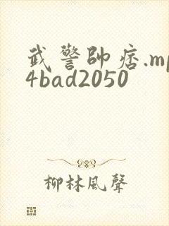 武警帅痞.mp4bad2050封面