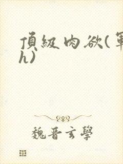 顶级肉欲(军高h)