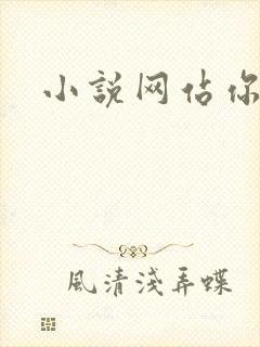 小说网站你懂的