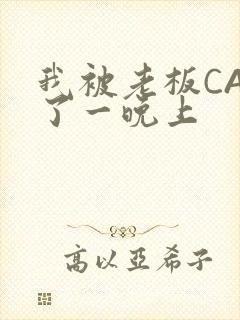 我被老板CAO了一晚上