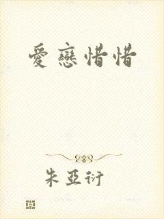 爱恋惜惜封面