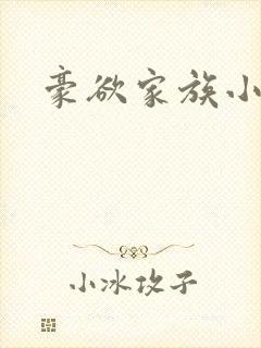 豪欲家族小说封面