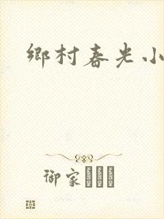 乡村春光小说