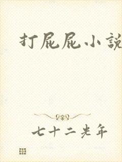 打屁屁小说封面