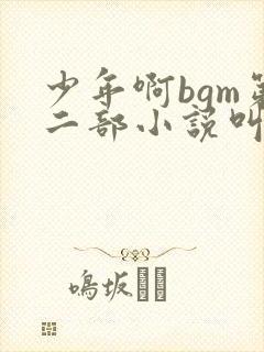 少年啊bgm第二部小说叫什么