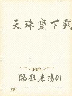 天珠变下载封面