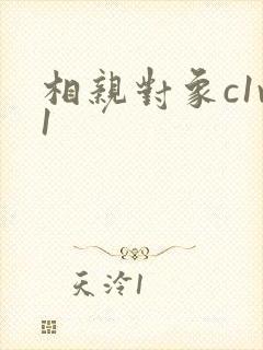 相亲对象c1v1封面