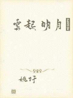 云起 明月珰封面