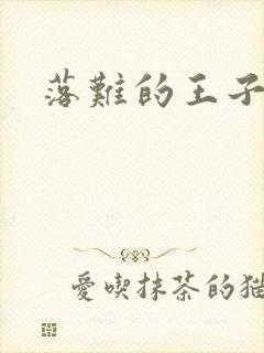 落难的王子封面