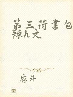 第三荷书包网高辣h文