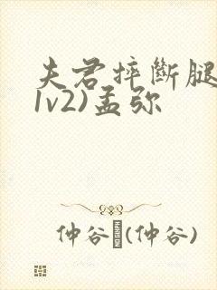 夫君摔断腿后(1v2)孟弥