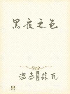 黑夜之色封面