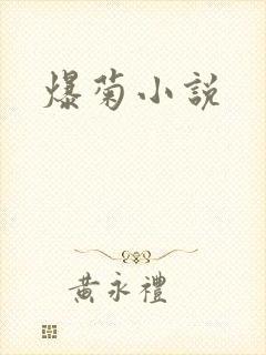 爆菊小说