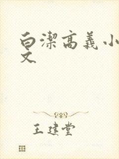 白洁高义小说全文