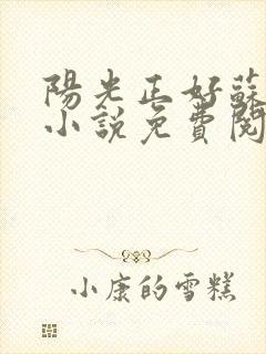 阳光正好苏玥玥小说免费阅读