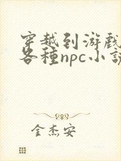 穿越到游戏里和各种npc小说