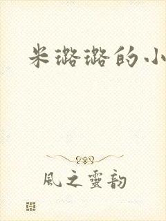 米璐璐的小说封面