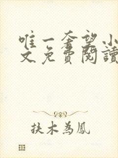 唯一奢望小说全文免费阅读封面