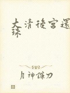 大清后宫还君明珠