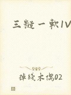 三糙一软1V3封面