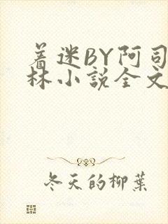 着迷BY阿司匹林小说全文免费阅读