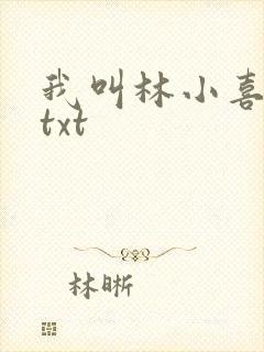 我叫林小喜小说txt