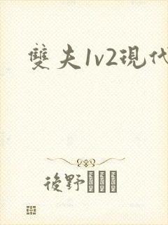 双夫1v2现代