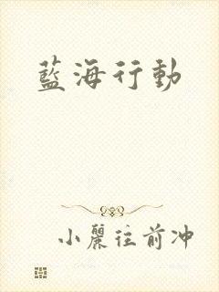 蓝海行动封面