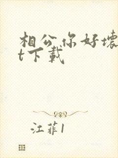 相公你好坏txt下载