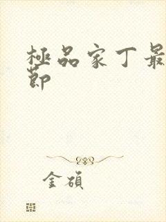 极品家丁最新章节