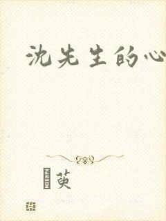 沈先生的心头宝