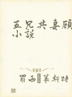 五兄共妻顾心儿小说