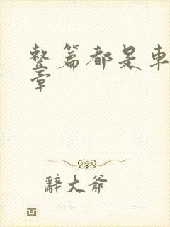 整篇都是车的文章