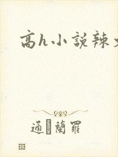 高h小说辣文