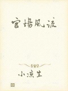 官场风流封面