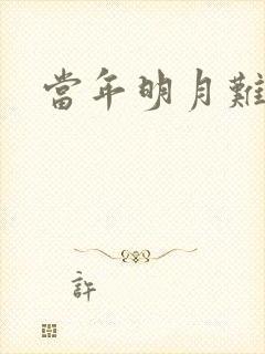 当年明月难寻封面