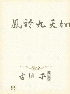 凤于九天txt封面