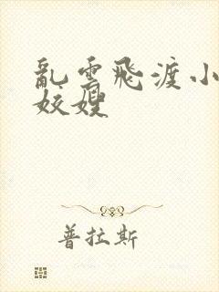 乱云飞渡小说之姣嫂