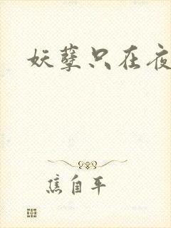 妖孽只在夜里哭封面