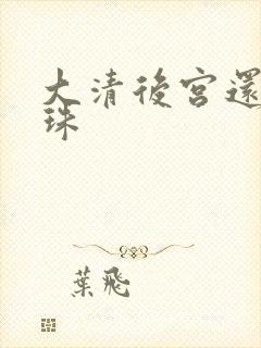 大清后宫还君明珠