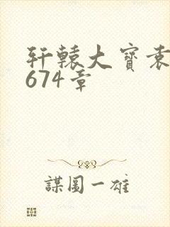 轩辕大宝袁雪妃674章