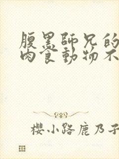 腹黑师兄的日常肉食动物不食草