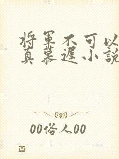 将军不可以魏云真慕迟小说笔趣阁封面