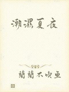 潮湿夏夜