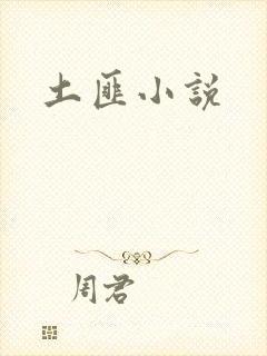 土匪小说